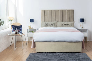 Cream Plush
