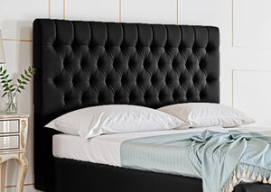 Black Plush