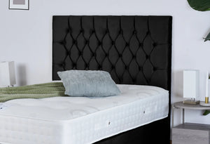Black Plush