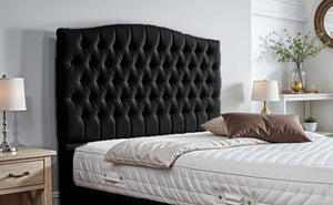 Black Plush