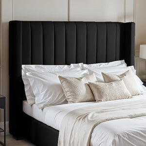 Black Plush