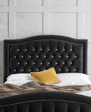 Black Plush