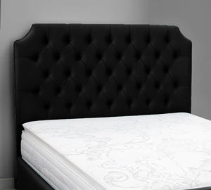 Black Plush