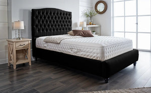 Black Plush