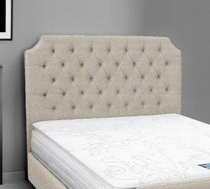 Cream Naples