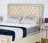 Hamilton Upholstered Bed