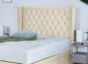 Cream Plush