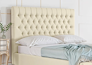 Cream Plush