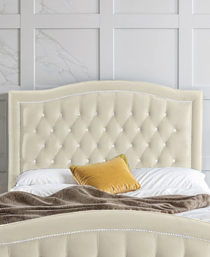 Cream Plush
