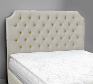 Cream Plush