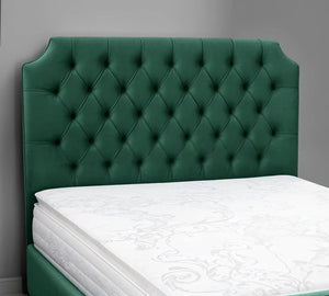 Green Plush