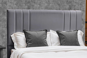 Grey Plush