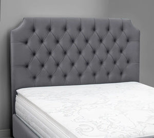 Grey Plush