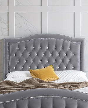 Grey Plush