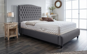 Grey Plush