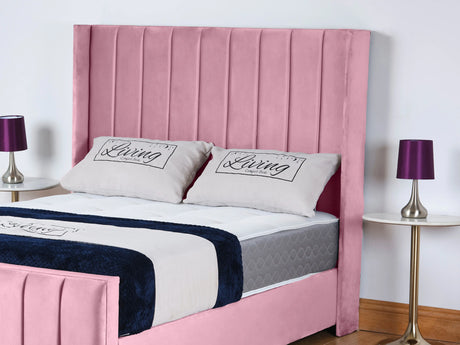 Pink Plush