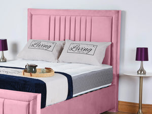 Pink Plush