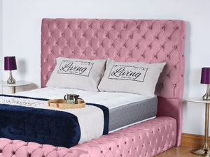 Pink Plush