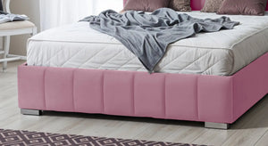 Pink Plush