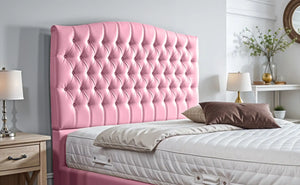 Pink Plush