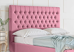 Pink Plush