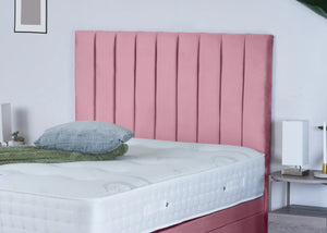Pink Plush