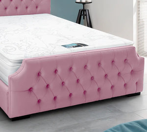 Pink Plush