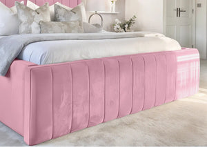 Pink Plush