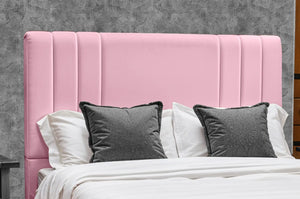 Pink Plush