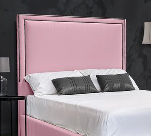 Pink Plush