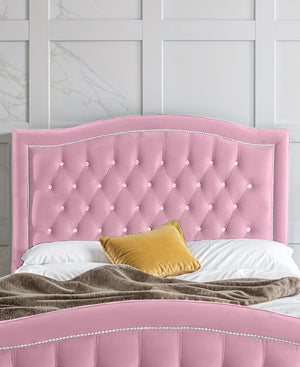 Pink Plush