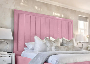 Pink Plush