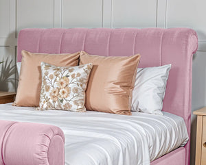 Pink Plush