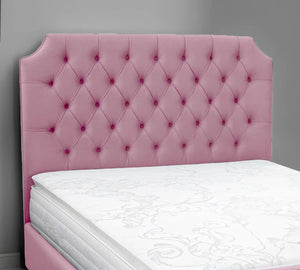 Pink Plush
