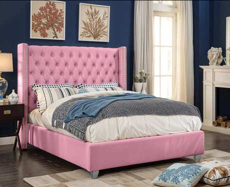 Pink Plush