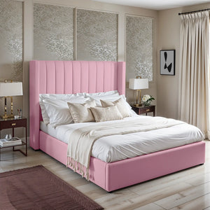 Pink Plush