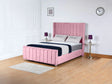 Pink Plush
