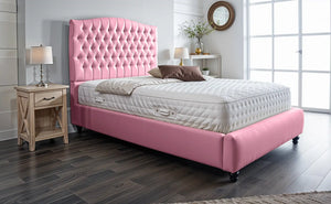 Pink Plush