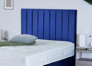Blue Plush