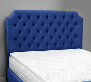 Blue Plush