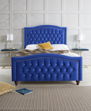 Blue Plush