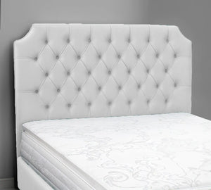 White Plush