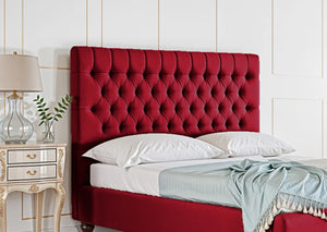 Maroon Plush