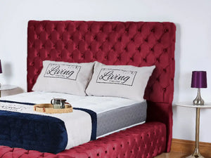 Maroon Plush