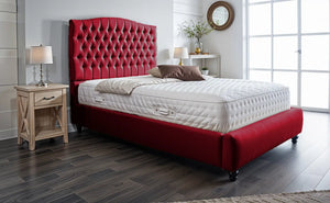 Maroon Plush