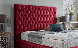 Maroon Plush